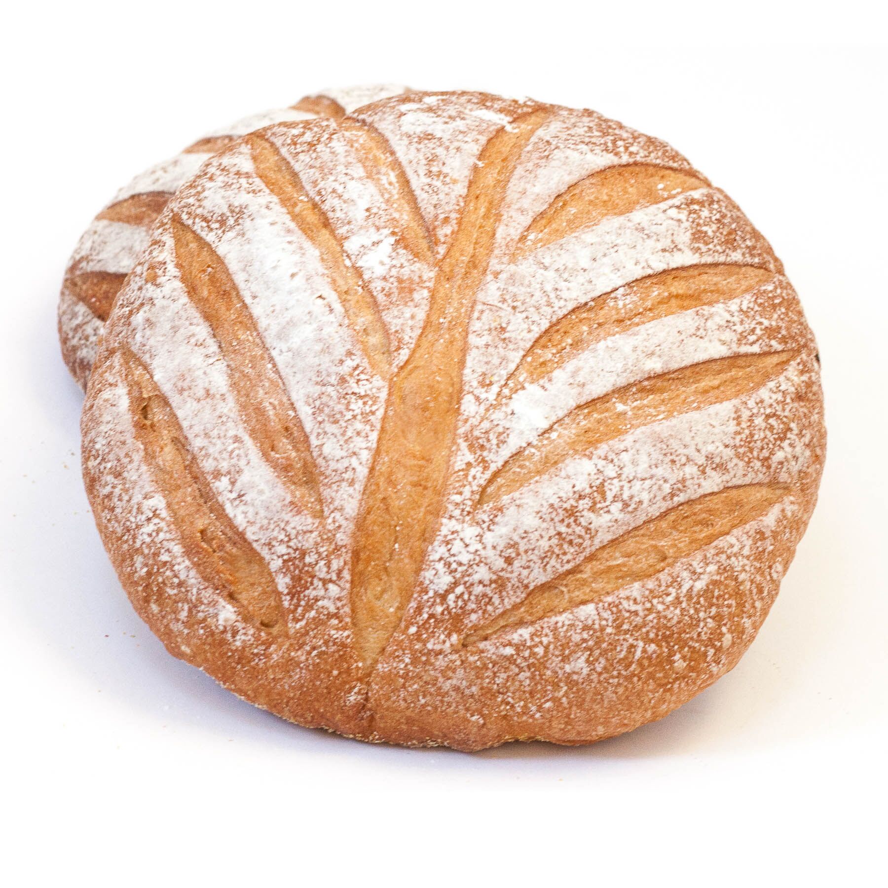Fireking--43 Tuscan Hearth Baked Small Boule